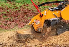 Best Aeration Services  in Six Mile Run, NJ