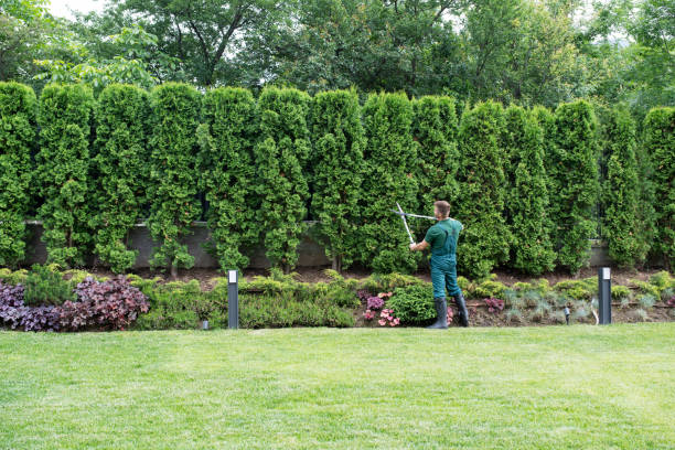 Best Lawn Grading and Leveling  in Six Mile Run, NJ
